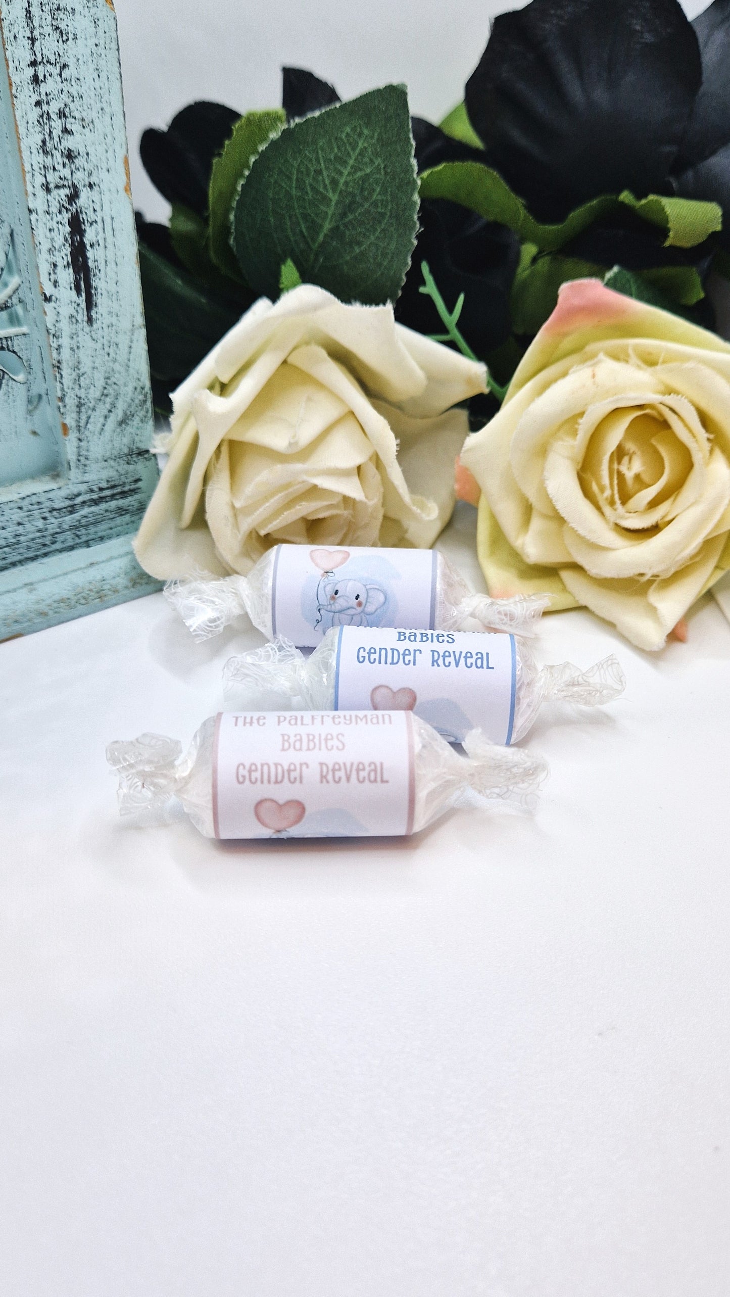 Twin Elephant Gender Reveal Love Hearts